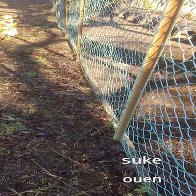 アルバム/ouen/suke