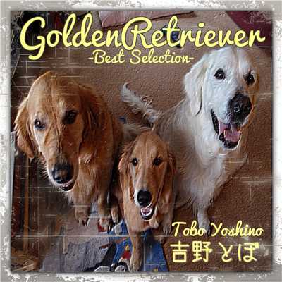アルバム/GoldenRetriever 〜Best Selection〜/吉野とぼ