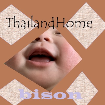 アルバム/ThailandHome/bison