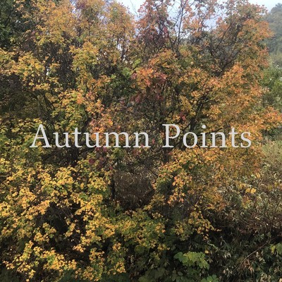 Power ups/Autumn Points