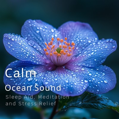 シングル/ocean rhythms for sleep/Ocean Waves for Deep Sleep