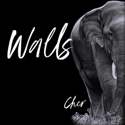 シングル/Walls/Cher