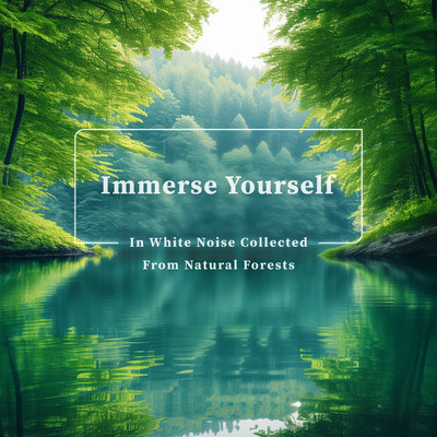Immerse Yourself in White Noise Collected From Natural Forests/Cool Music