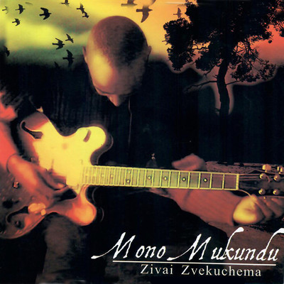 Handishore (feat. Bob Nyabinde)/Mono Mukundu