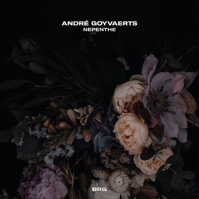 アルバム/Nepenthe/Andre Goyvaerts