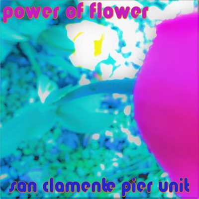 power of flower/san clamente pier unit