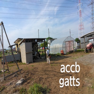 gatts/accb