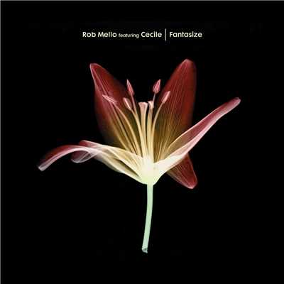 シングル/Fantasize (Instrumental Club Mix) [feat. Cecile]/Rob Mello