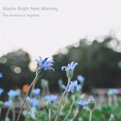 アルバム/Maybe Bright Next Morning/The Moment of Nightfall