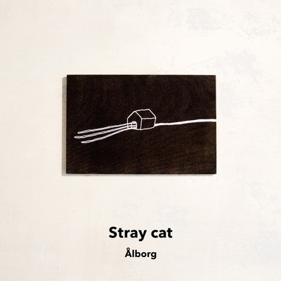 Stray cat/Alborg