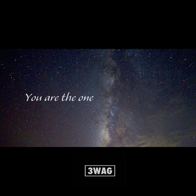 アルバム/You are the one/3WAG