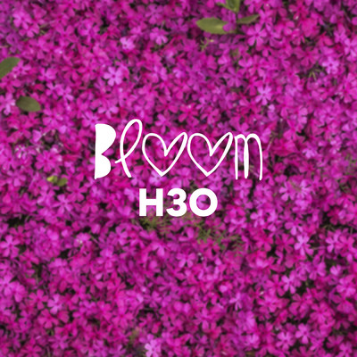 シングル/Bloom (featuring WRLDS)/H3O