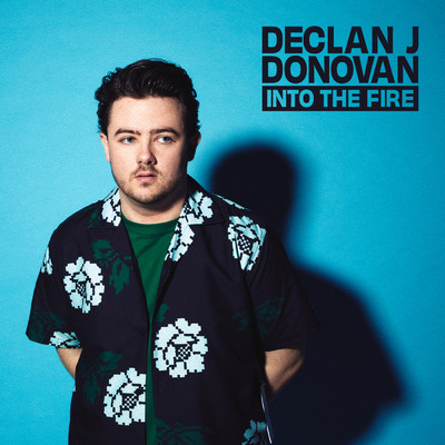Into The Fire/Declan J Donovan