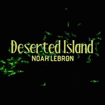Deserted Island/Noah Lebron
