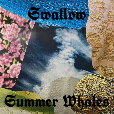 Swallow/Summer Whales