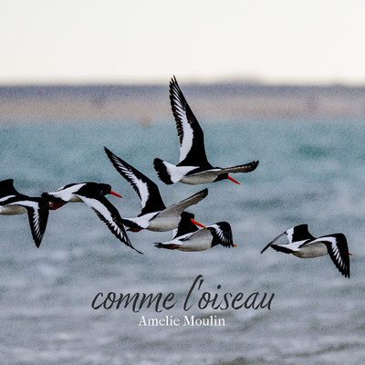 シングル/comme l'oiseau/Amelie Moulin