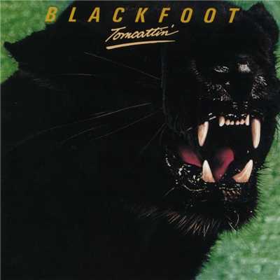 アルバム/Tomcattin'/Blackfoot