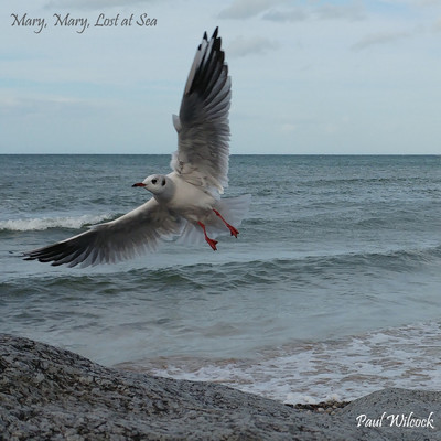 Mary, Mary, Lost at Sea/Paul Wilcock