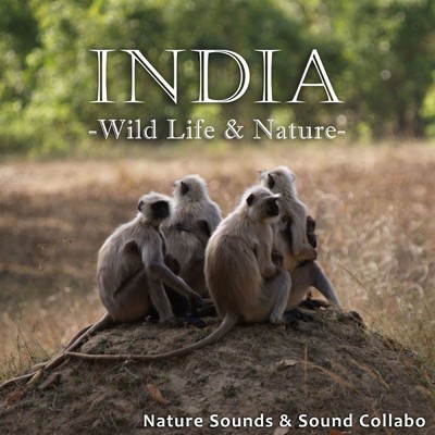 インド 〜野生動物と自然〜/自然音 & サウンド・コラボ