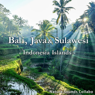 アルバム/バリ、ジャワ、スラウェシ 〜インドネシアの島々〜/自然音コラボ