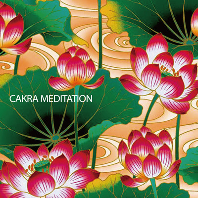アルバム/チャクラメディテーション・コンプリートエディション 〜 CAKRA MEDITATION  Complete Edition/VAGALLY VAKANS