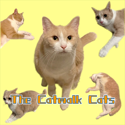 シングル/The Catwalk Cats/Tsutomu San