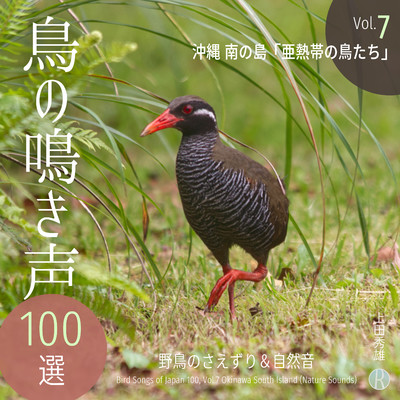 鳥の鳴き声 100選 Vol.7 沖縄 南の島 「亜熱帯の鳥たち」 野鳥のさえずり&自然音/上田秀雄
