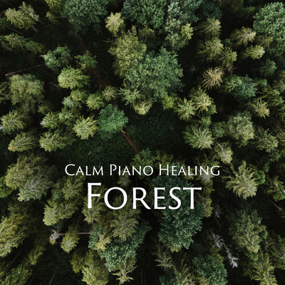 夕焼けの海岸 (forest)/Healing Energy