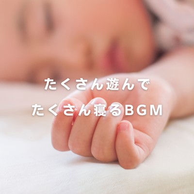アルバム/たくさん遊んでたくさん寝るBGM/Teres