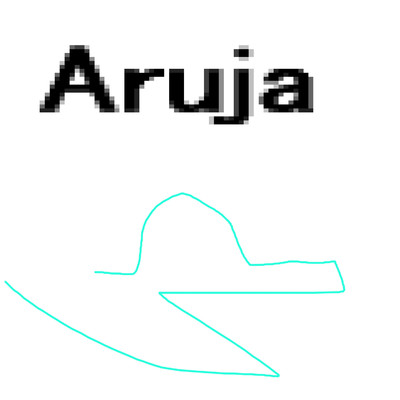 Aruja/岡柴