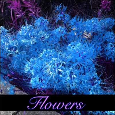 アルバム/Flowers/Takahisa Ueda