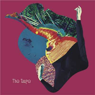 テンプシーコーラ/The Taupe