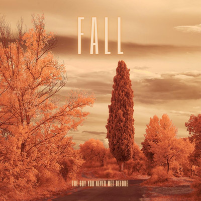 Fall/The Boy You Never Met Before