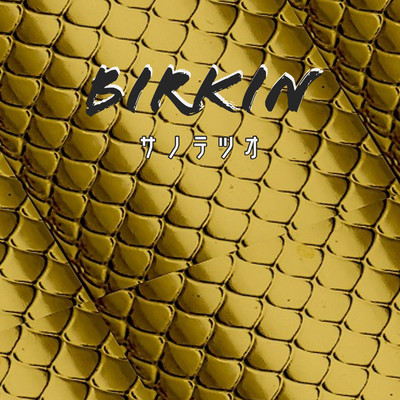 アルバム/BIRKIN/サノテツオ