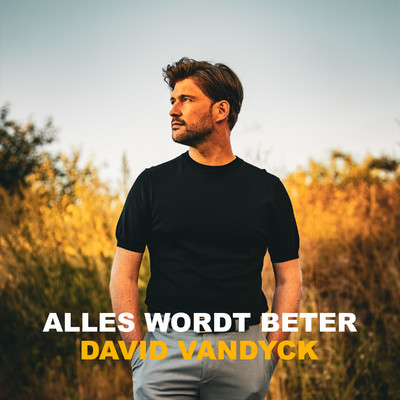 シングル/Alles Wordt Beter/David Vandyck