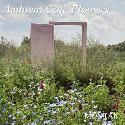 Ambient Cafe Flowers Pansy/MONTAN
