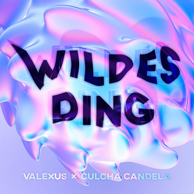 WILDES DING (Explicit)/Valexus／カルチャ・キャンデラ