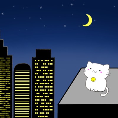 都会の猫達/YOKO