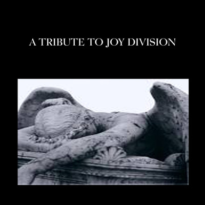 アルバム/A Tribute to Joy Division/The Insurgency