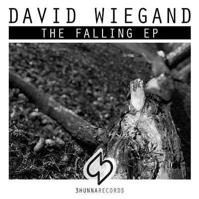 Falling/David Wiegand