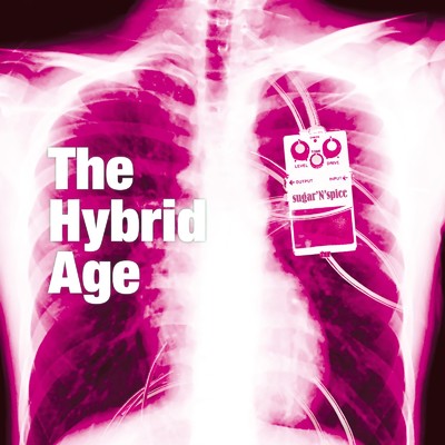 アルバム/The Hybrid Age/sugar'N'spice