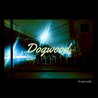 シングル/Dogwood/if near mild