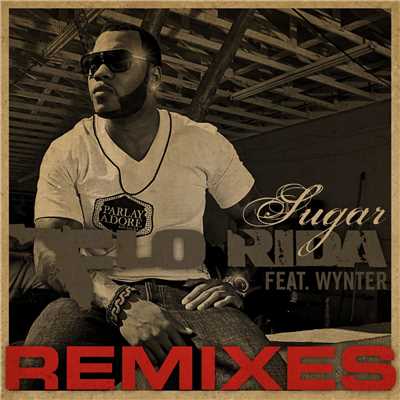 Sugar (feat. Wynter) [Disco Fries Underground Club Mix]/Flo Rida