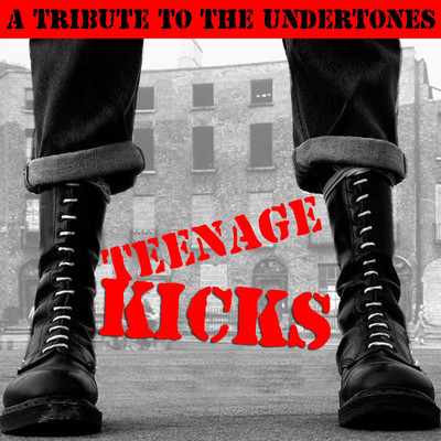 シングル/Teenage Kicks/The Unstable Wives