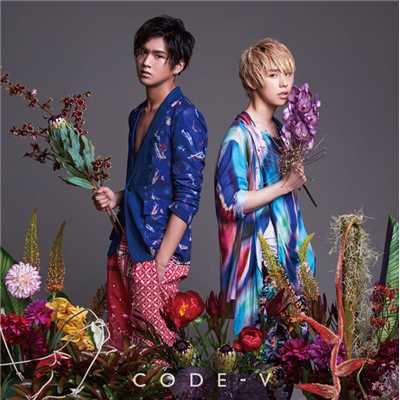 アルバム/衝動/CODE-V