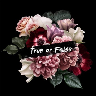 アルバム/True or False/ES-TRUS