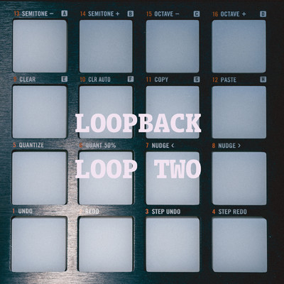 シングル/LOOP Try/LOOPBACK