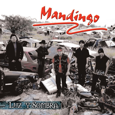 アルバム/Luz Y Sombra/Mandingo