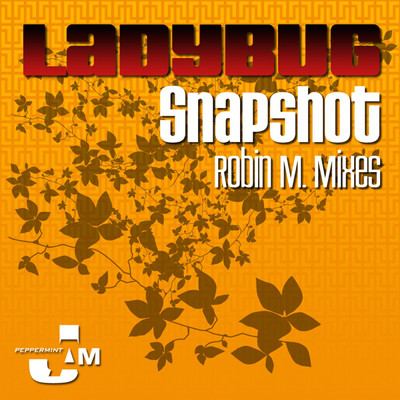 Snapshot (Robin M. Extended Remix)/Ladybug
