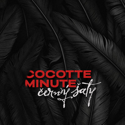 Cerny saty/Cocotte Minute